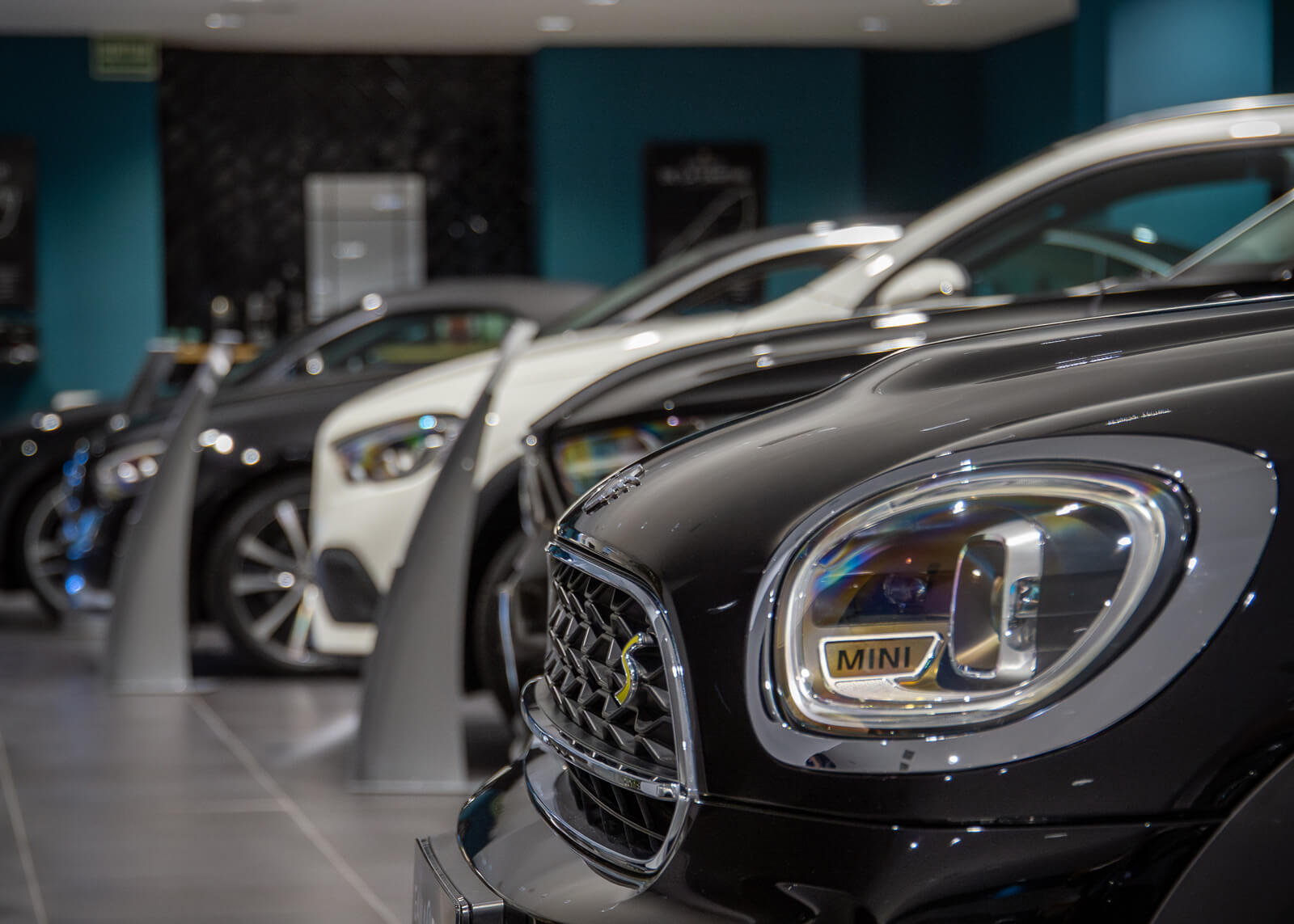 Showroom 12